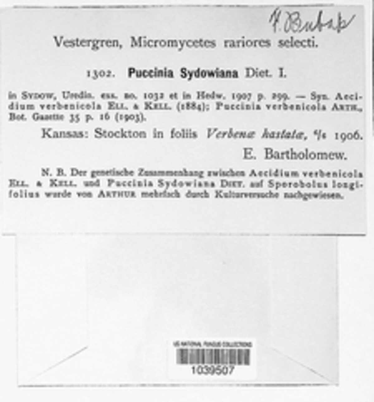 Puccinia sydowiana image
